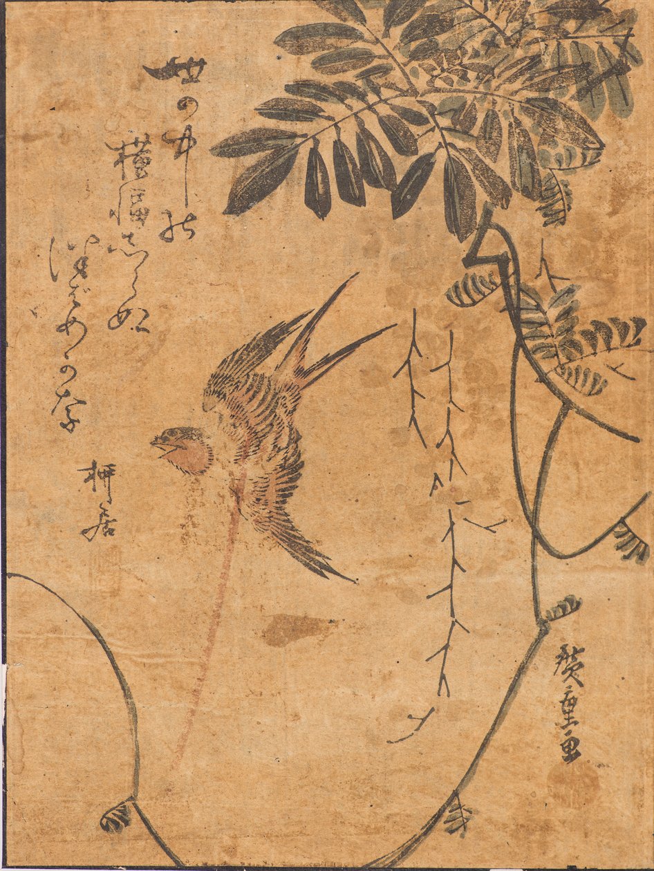 Studie av fugl i flukt og plante av Ando or Utagawa Hiroshige