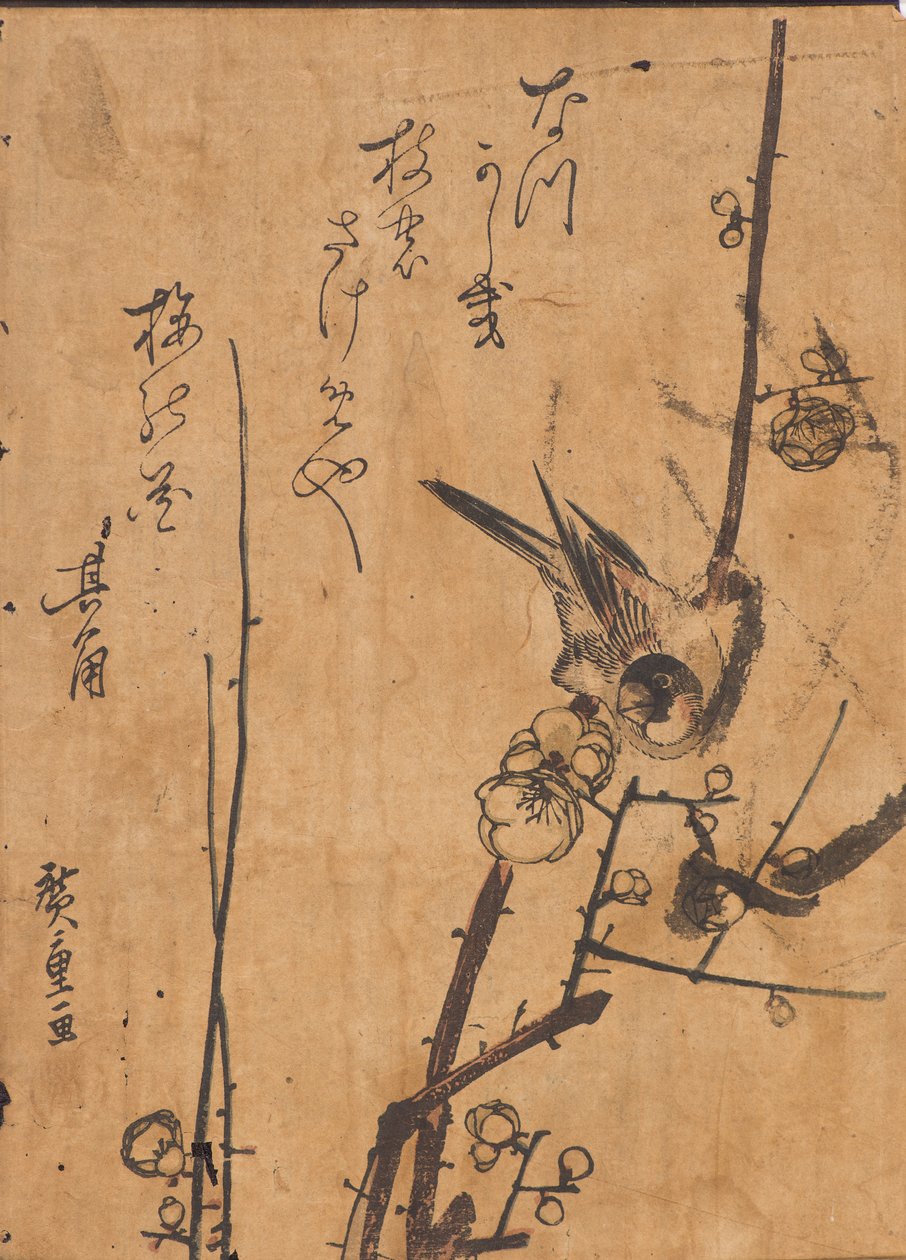 Studie av fugl som sitter på gren av Ando or Utagawa Hiroshige