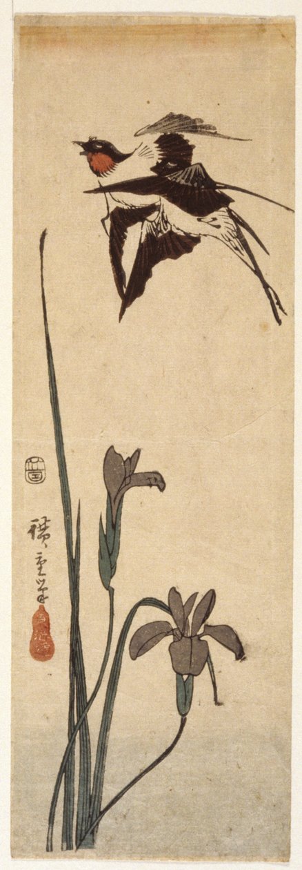 Swallows And Iris (farget treblokktrykk) av Ando or Utagawa Hiroshige