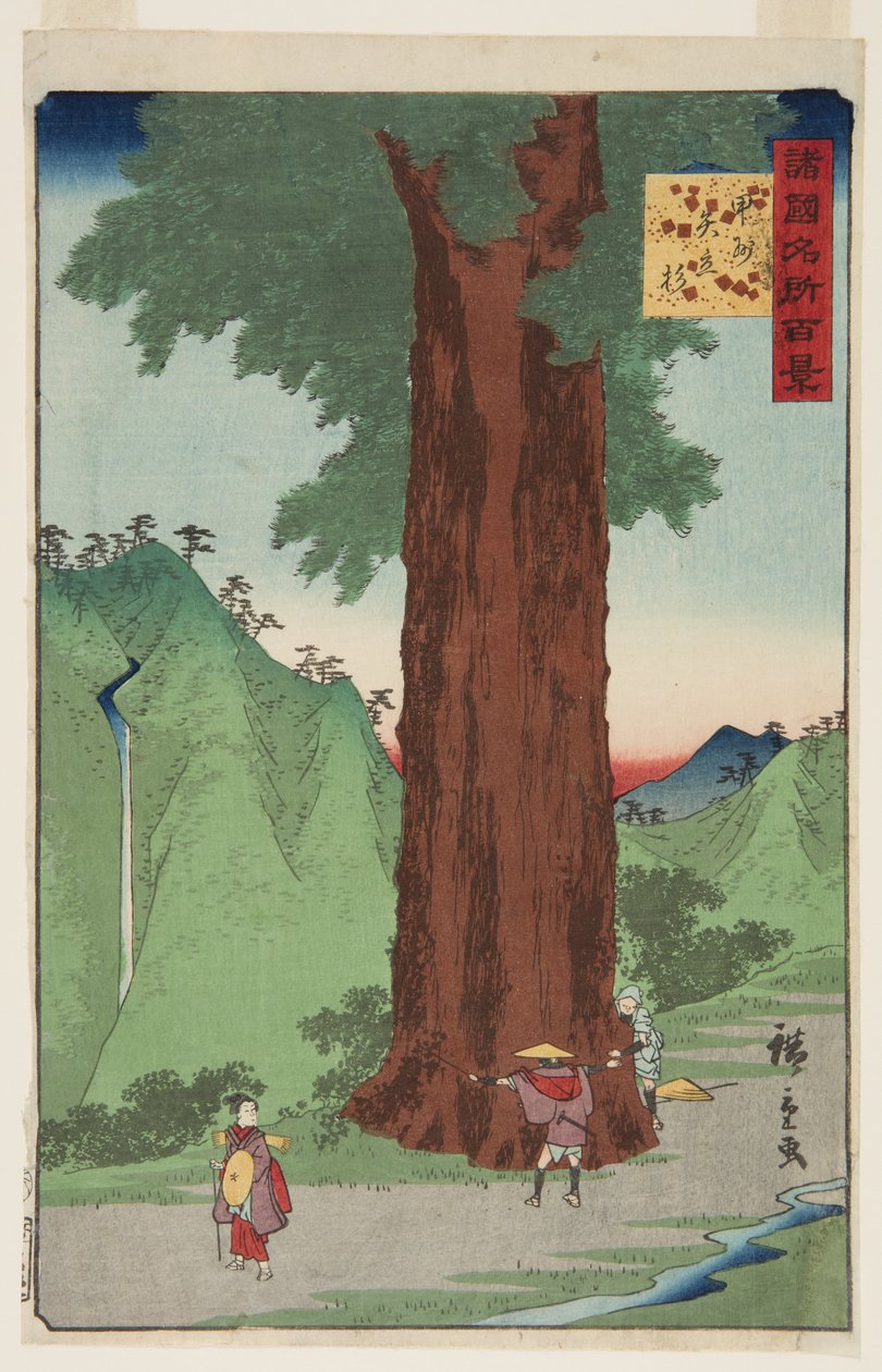 Yatate Cedar Tree i Kai-provinsen (K?sh? Yatate sugi) (treblokktrykk i farger) av Ando or Utagawa Hiroshige