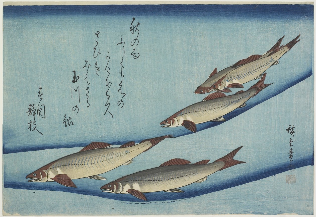Ørret av Ando or Utagawa Hiroshige
