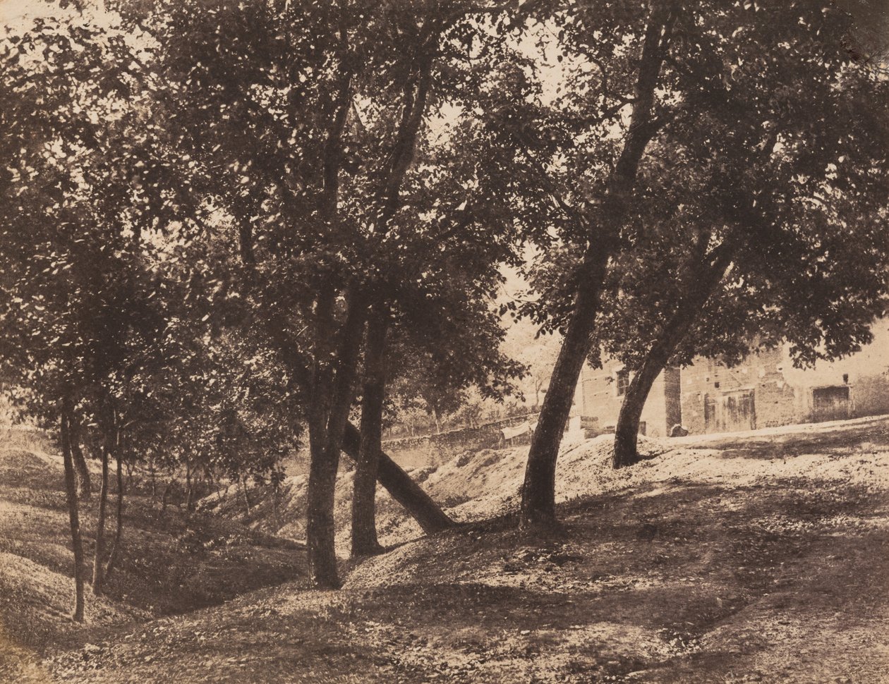 Trær, c. 1855. av André Giroux
