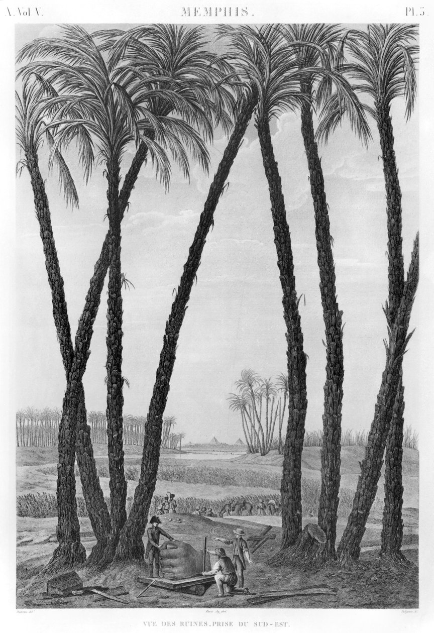 Utsikt over ruinene av Memphis sett fra sørøst, gravert av Jean Louis Delignon (1755-1804) av Andre Dutertre