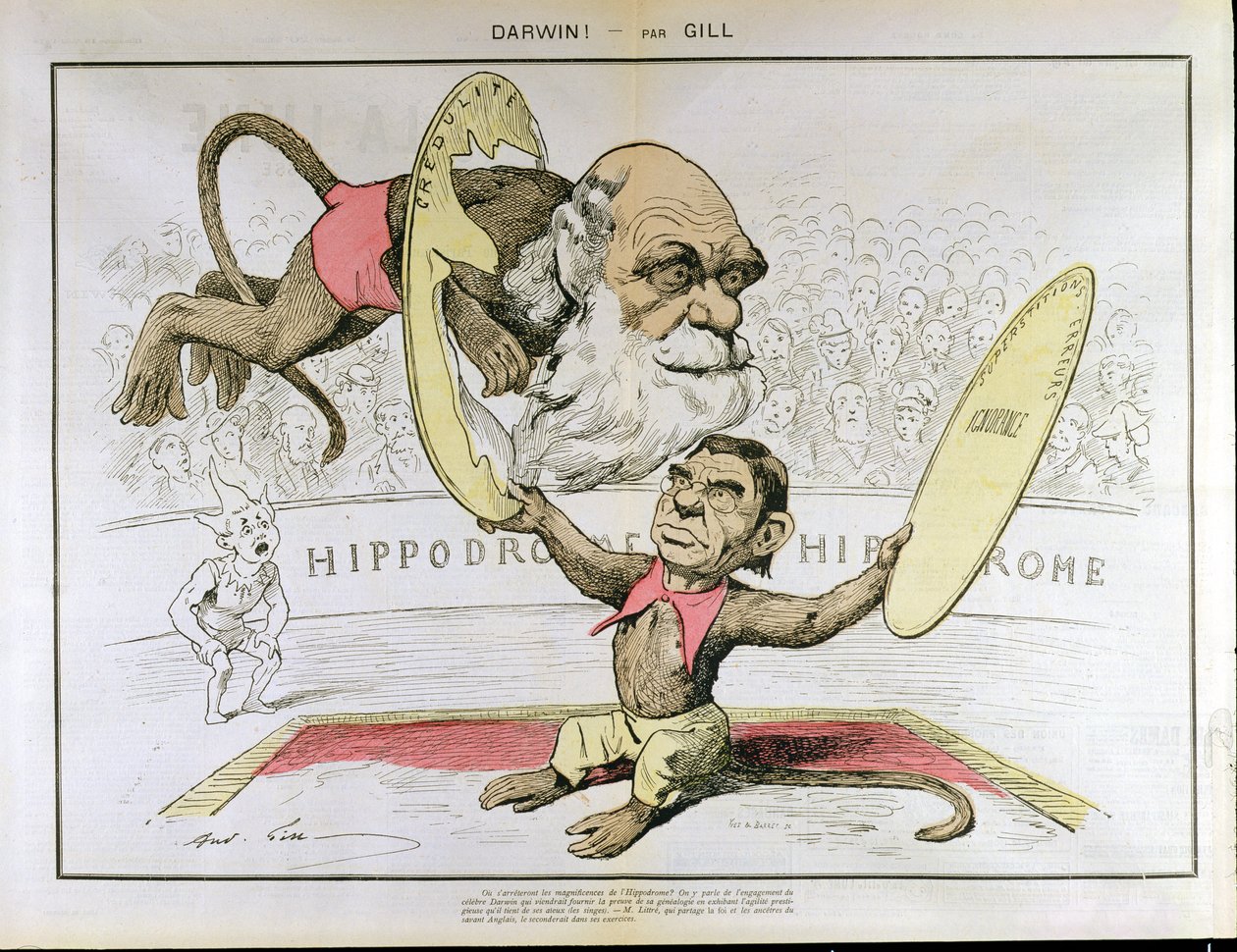 Karikatur av Charles Darwin (1809-1882) og Emile Littre (1801-1881) som viser dem som utøvende aper på et sirkus av Andre Gill