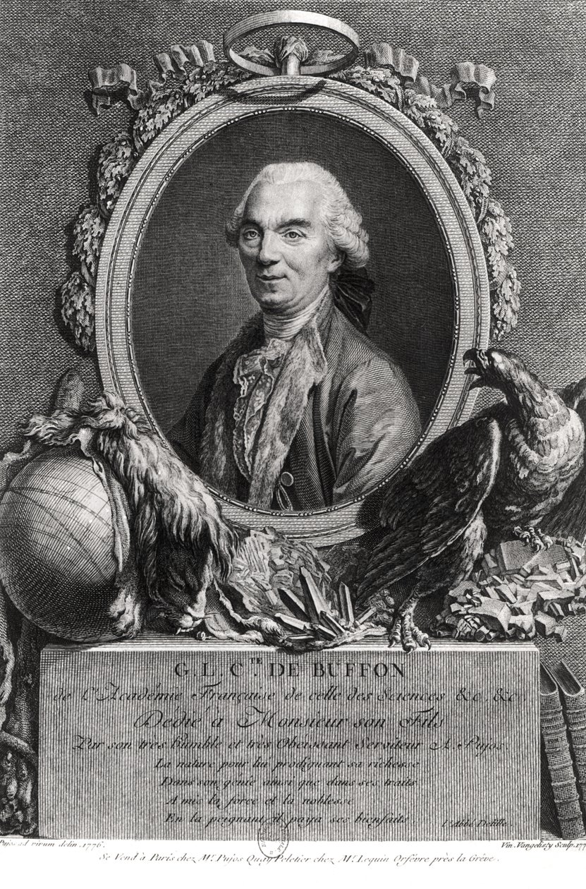Georges-Louis Leclerc (1707-88) greve av Buffon, gravert av Vincenzio Vangelisti (1738-98) 1777 av Andre Pujos