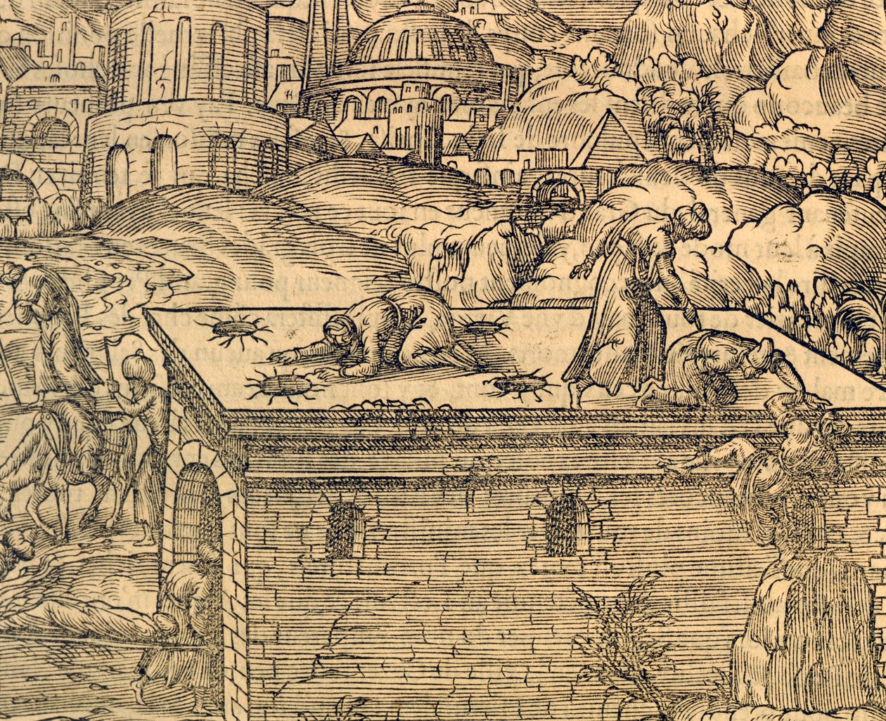 Kristen kirkegård i Acheldemach, gravering fra Cosmographie universelle, av Andre Thevet (1504-1592), Paris av Andre Thevet