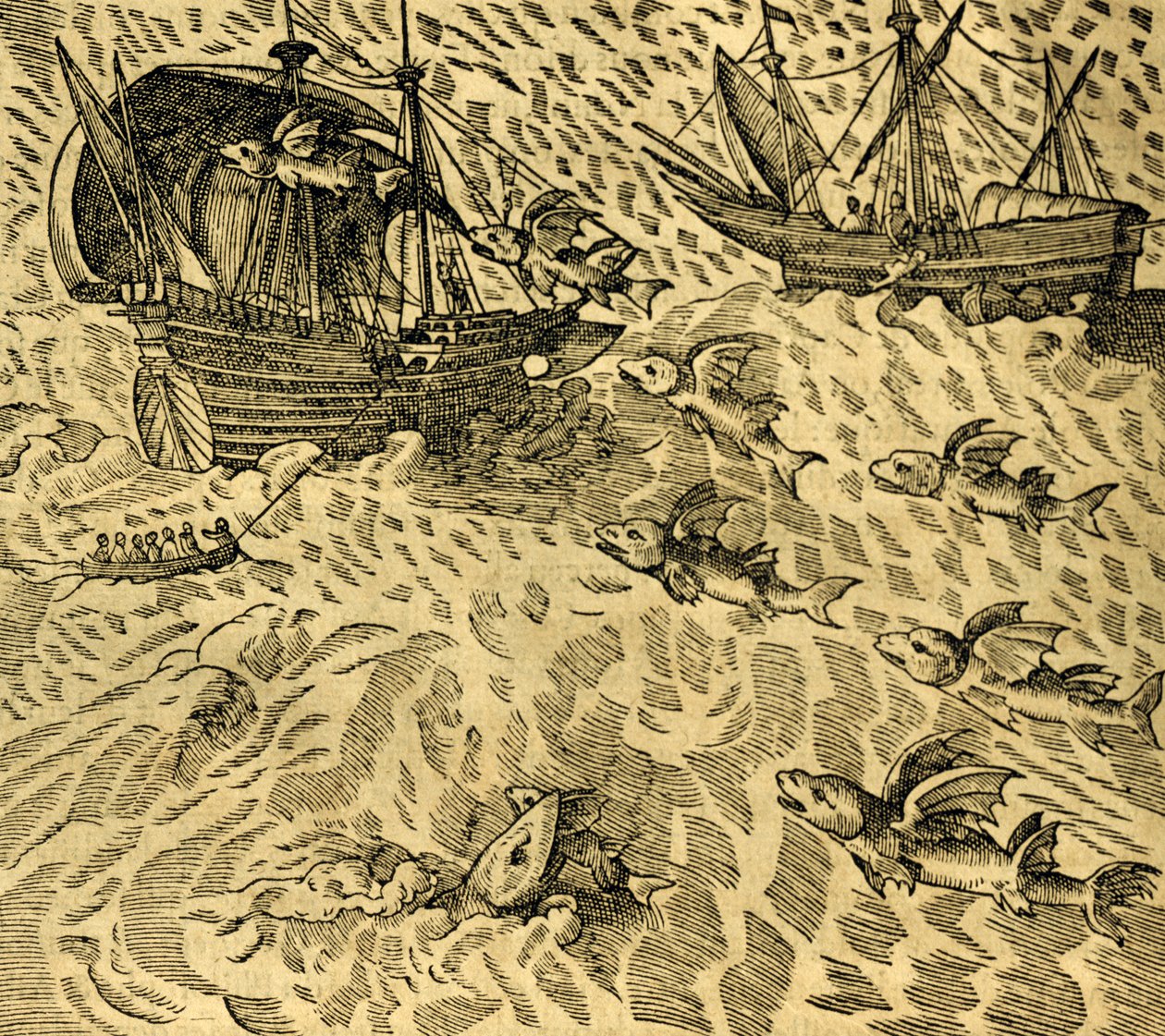 Flyvende fisk i tropiske hav, gravering fra Cosmographie Universelle, av Andre