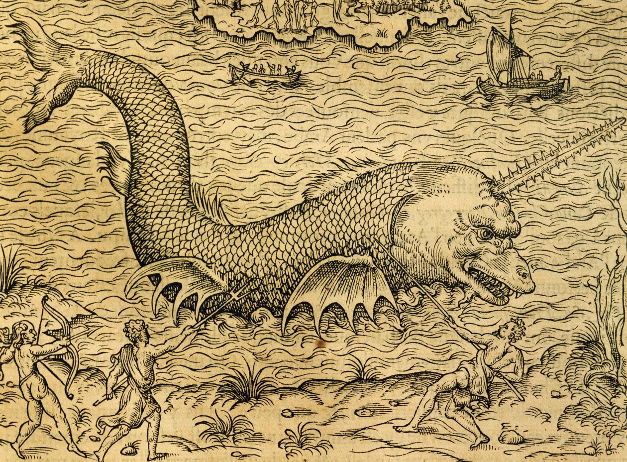 Sjømonster, gravering fra Universal Cosmology, av Andre Thevet (1504-1592), Paris av Andre Thevet