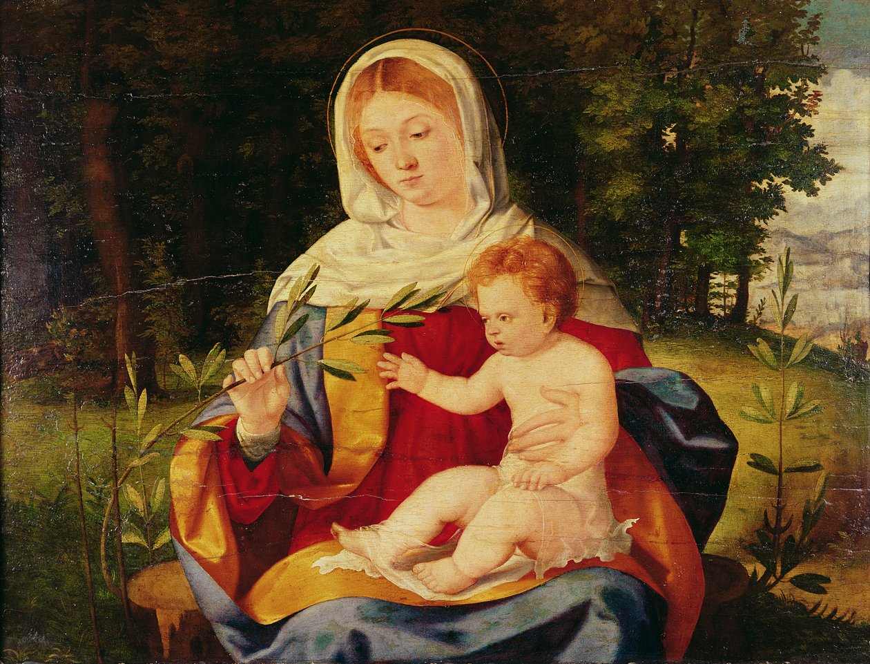 Jomfruen og barnet med et skudd av oliven, ca. 1515 (olje på tre) av Andrea Previtali
