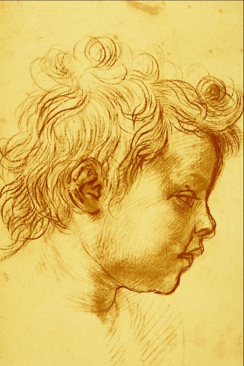 Andrea del Sarto av Andrea del Sarto