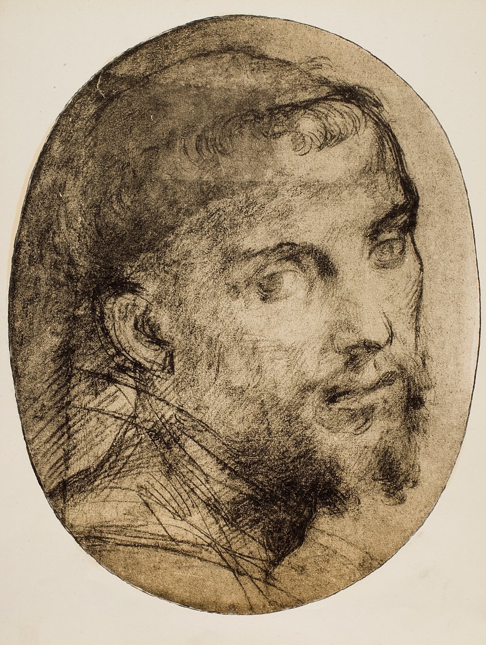Studer for et religiøst portrett av Andrea del Sarto