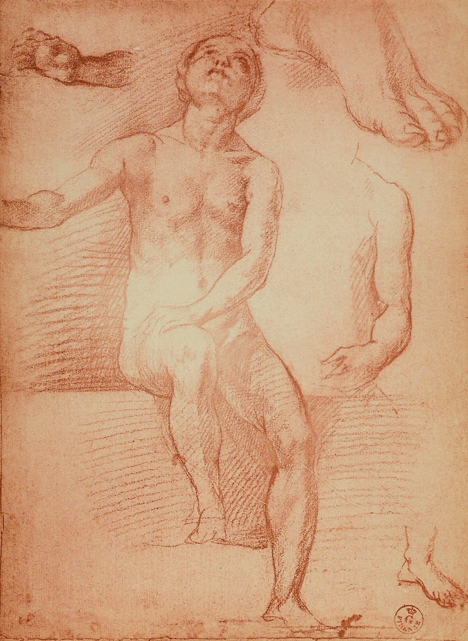 Studie av en naken figur og menneskelige lemmer, tegning av Andrea del Sarto. Cabinet of Drawings and Prints, Uffizi Gallery, Firenze av Andrea del Sarto