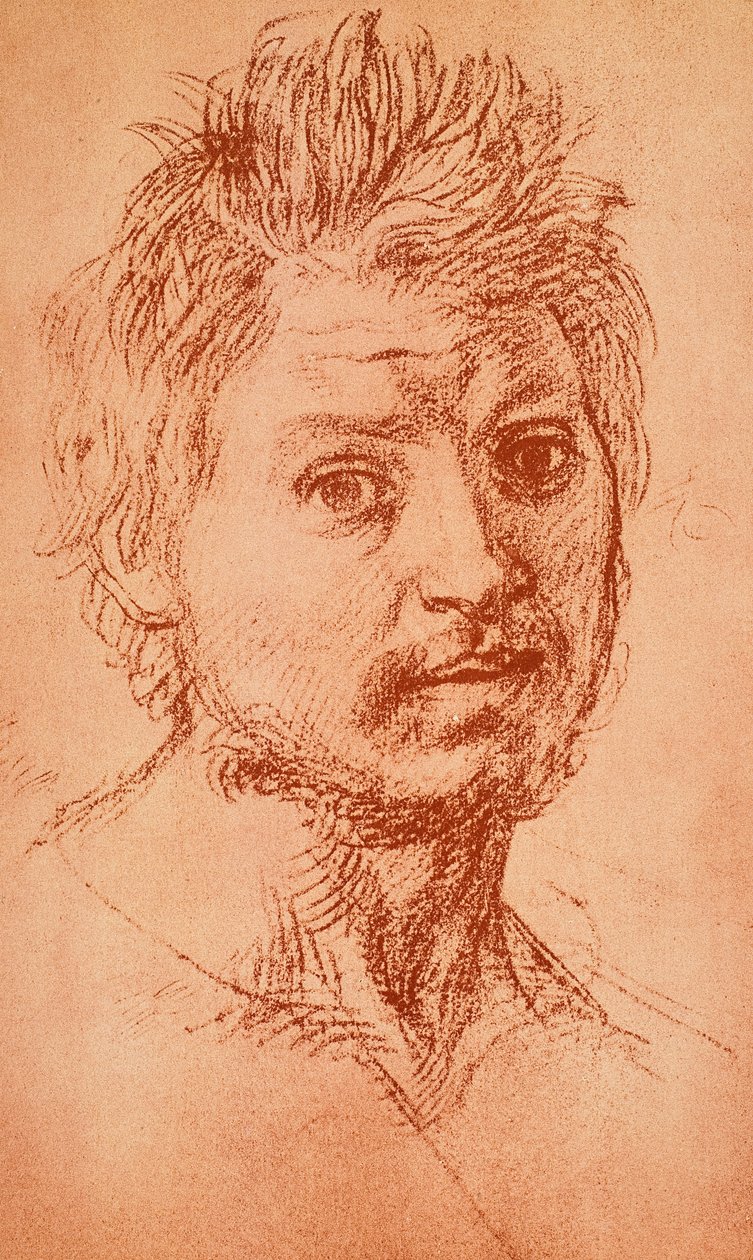 Virilt hode av Andrea del Sarto