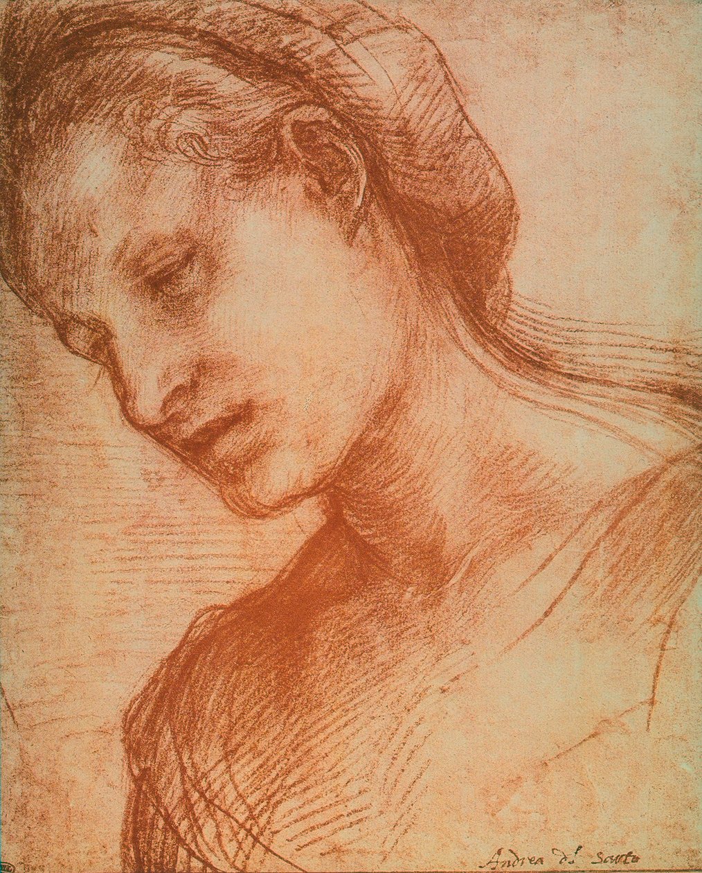 Kvinners hode av Andrea del Sarto