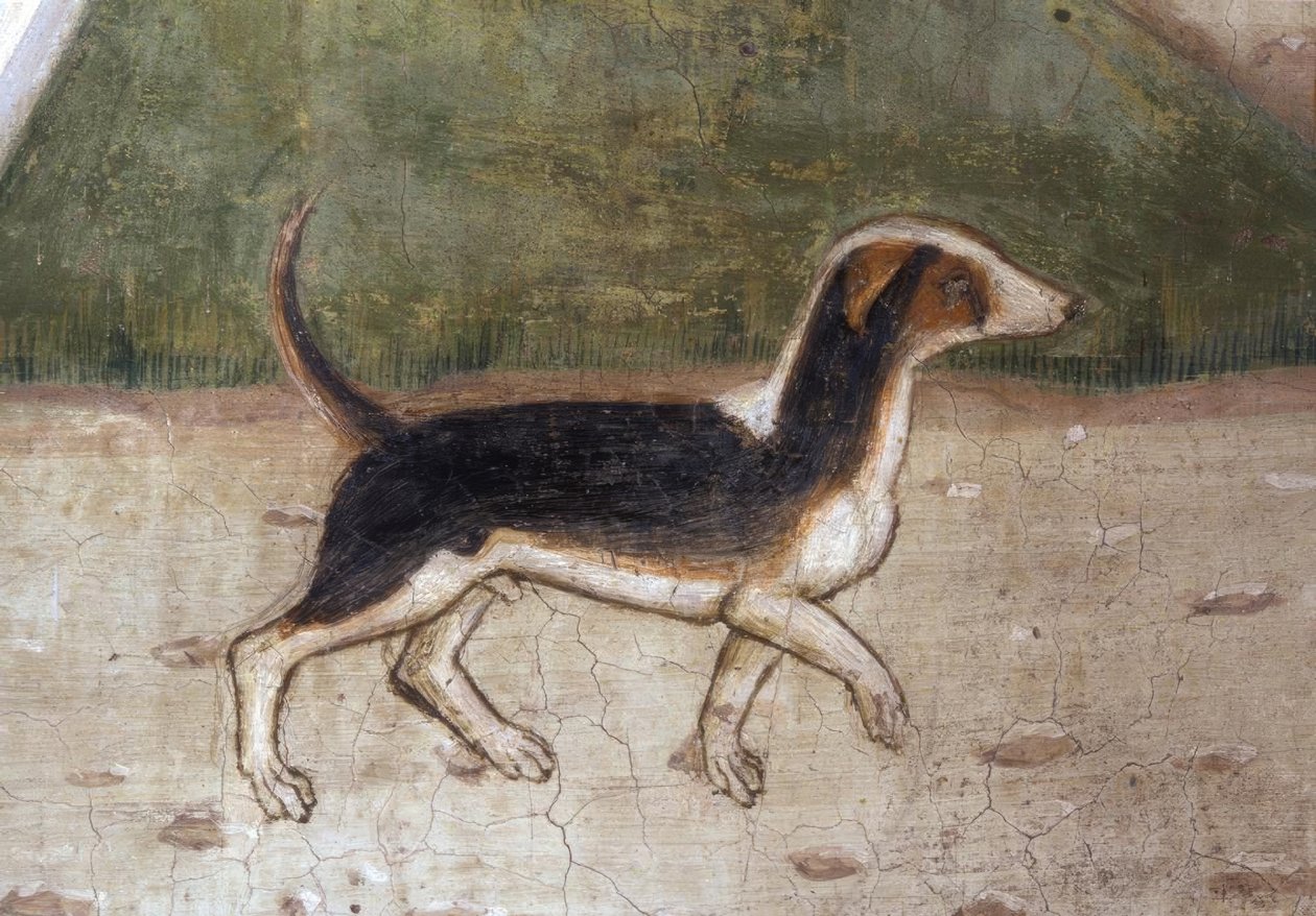 Atri, katedral, hund / freskomaleri av A.Delitio av Andrea Delitio