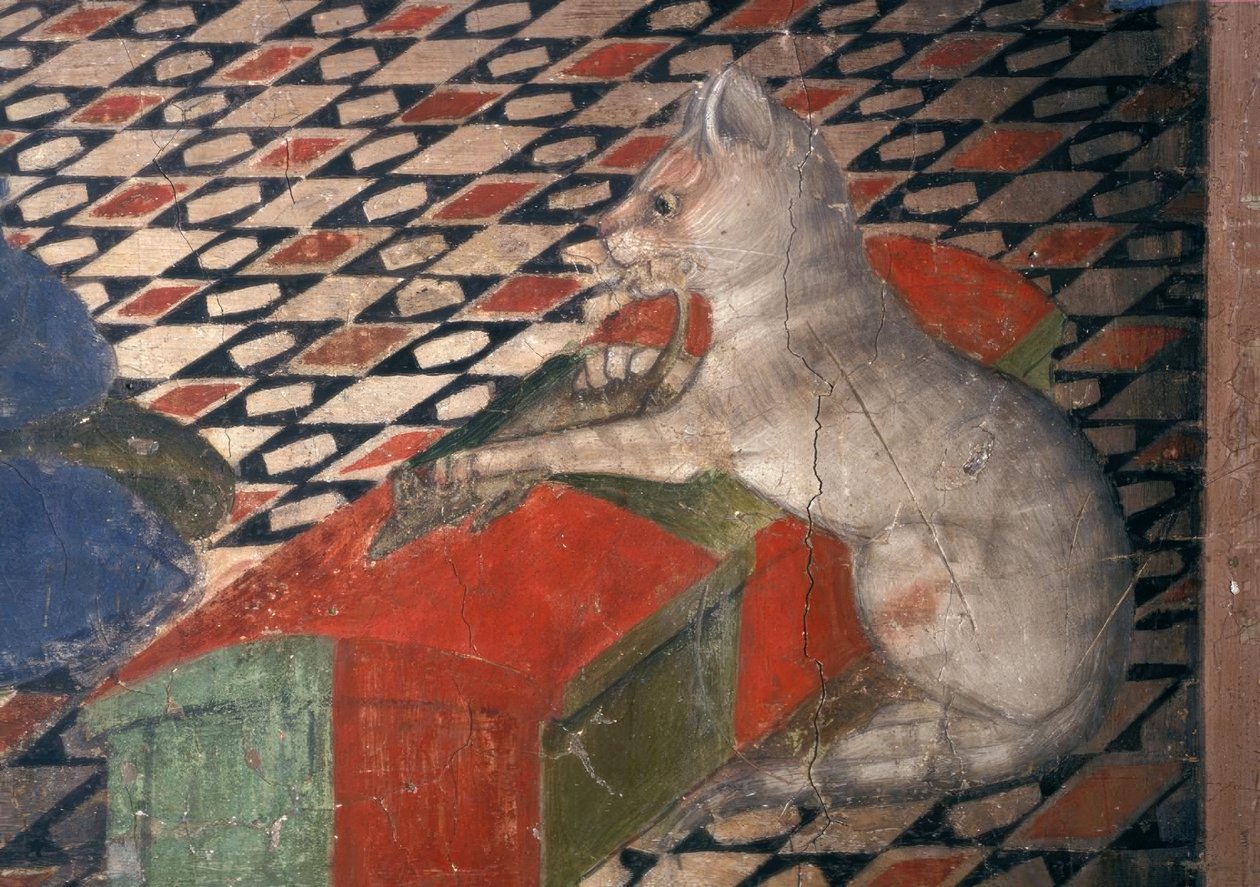 Atri, katedral, katt / A.Delitio av Andrea Delitio