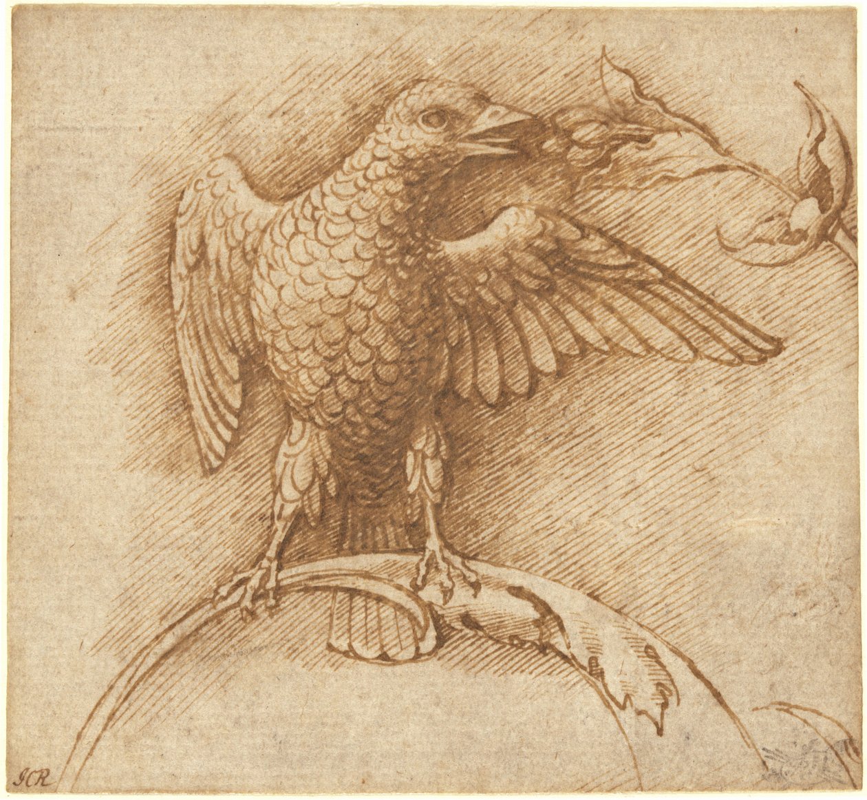 En fugl som sitter på en gren med frukt av Andrea Mantegna