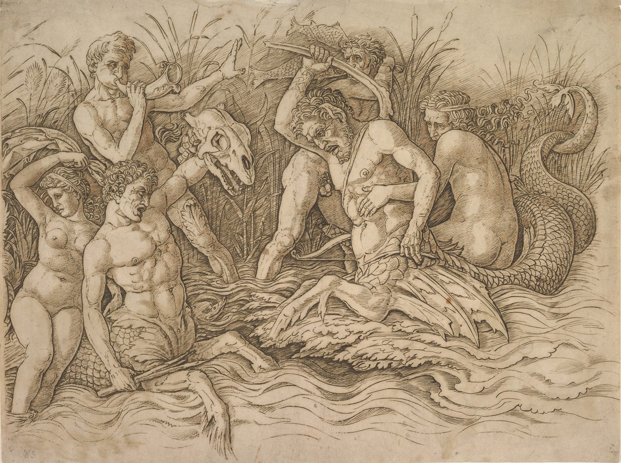 Battle of the Sea-Gods høyre halvdel, ca. 1485-88. av Andrea Mantegna