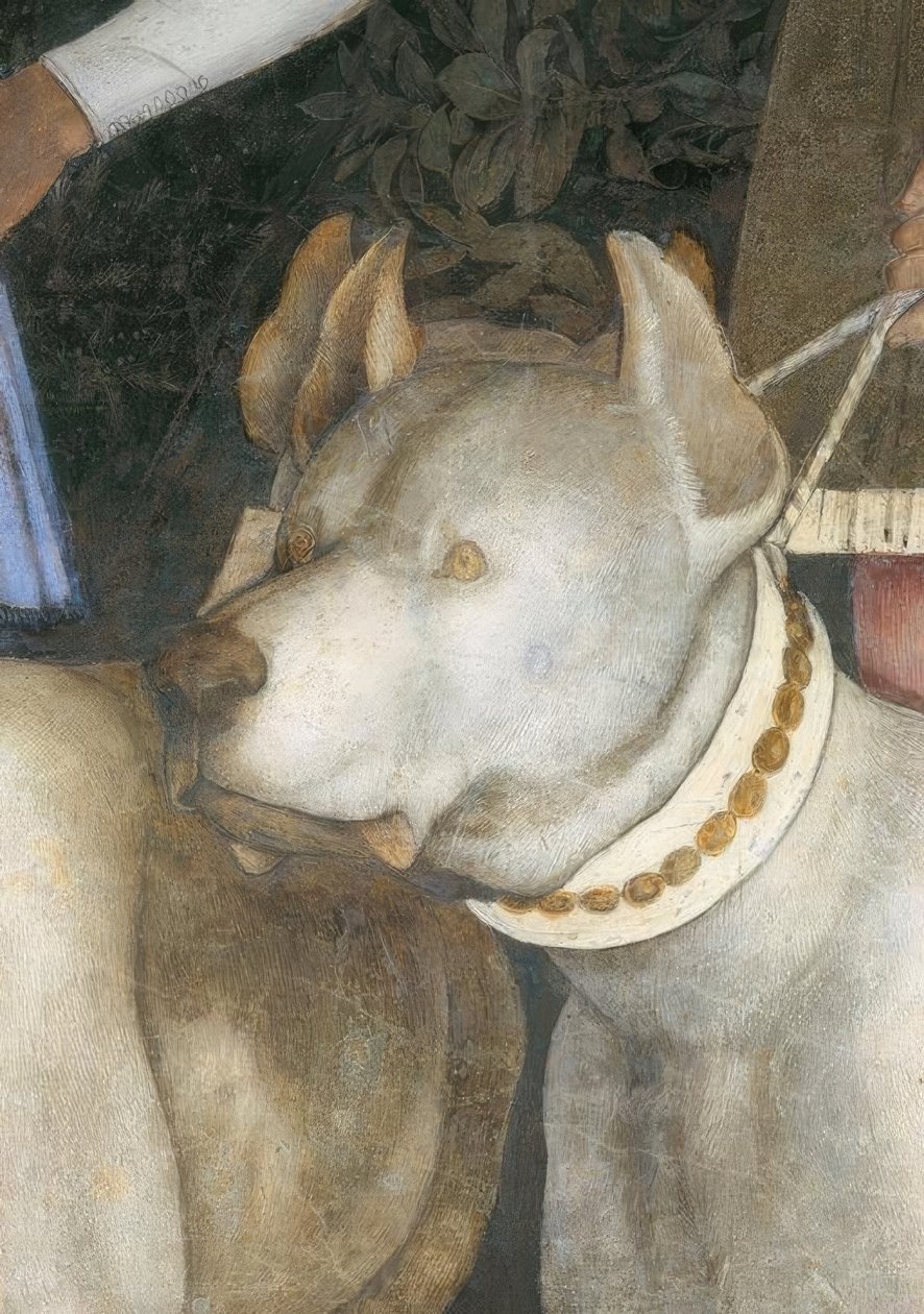 Møte mellom markgreve Lodovico III. Gonzaga med sin av Andrea Mantegna