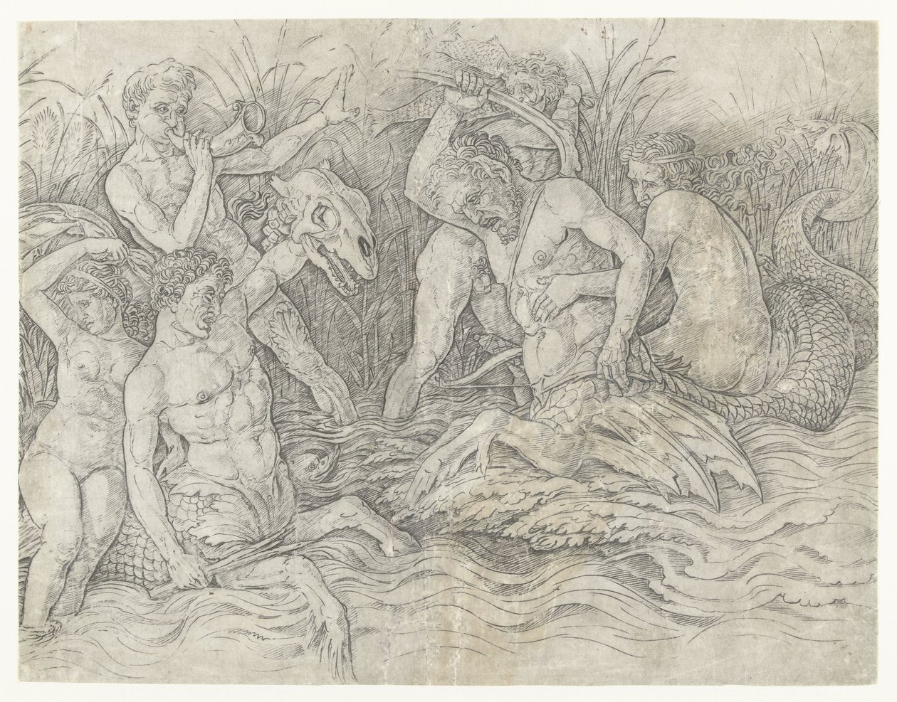 Slaget om tritoner med nereider på ryggen Slaget om havgudene av Andrea Mantegna