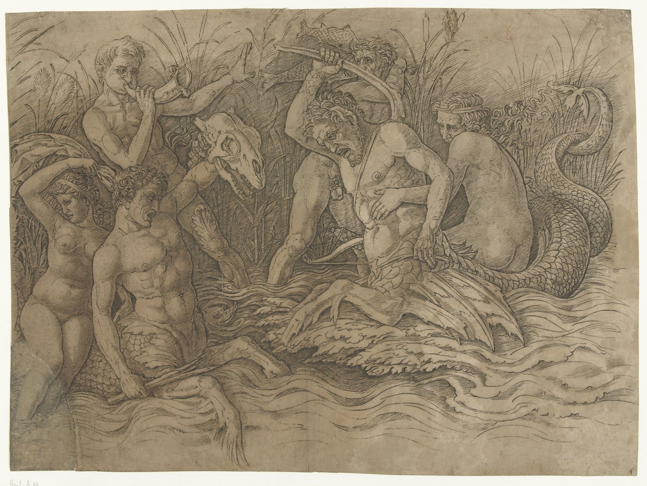 Kamp mellom tritoner med nereider på ryggen Slaget ved havgudene av Andrea Mantegna