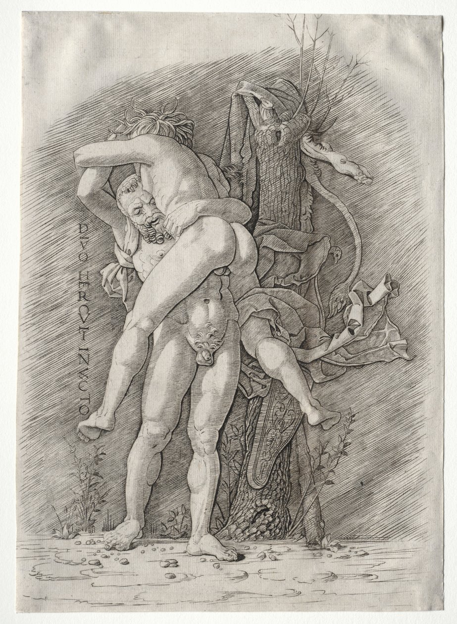 Hercules og Antaeus, 1400-tallet. av Andrea Mantegna