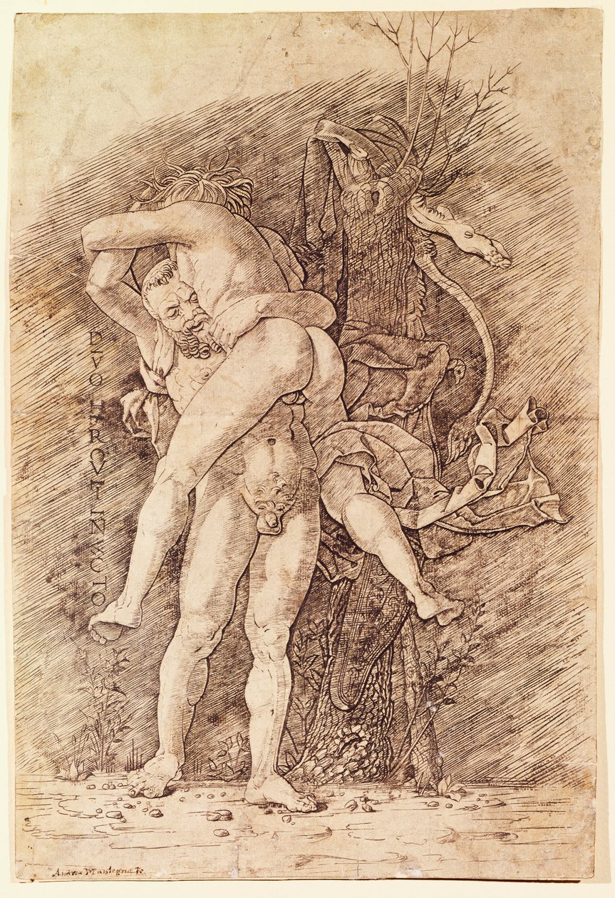 Hercules og Antaeus, av Andrea Mantegna (1431-1506), tegning. av Andrea Mantegna