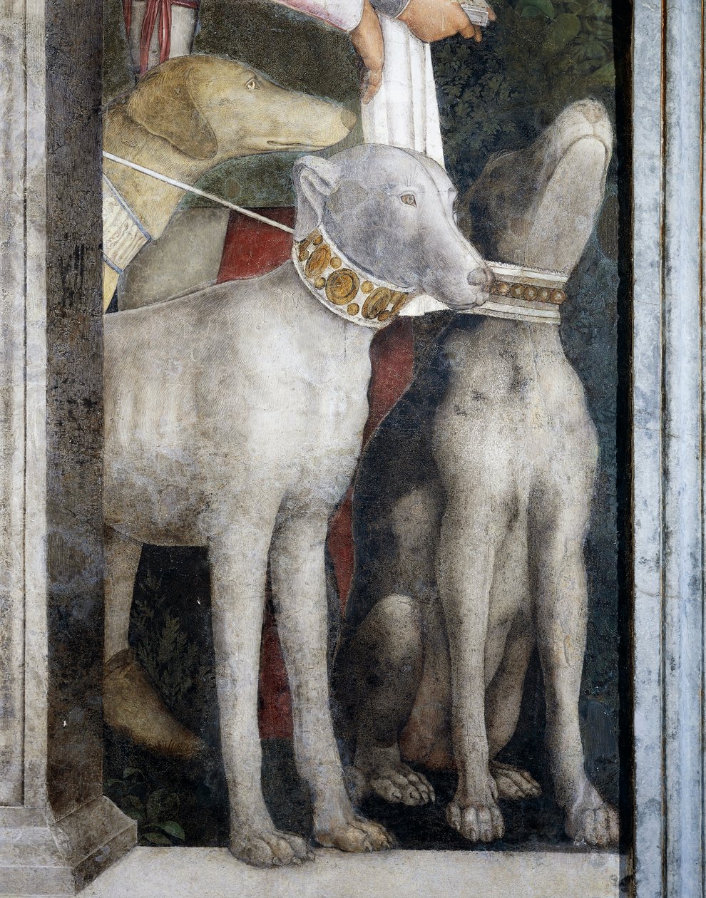 Molossiske hunder, detalj fra Meeting Wall av Andrea Mantegna