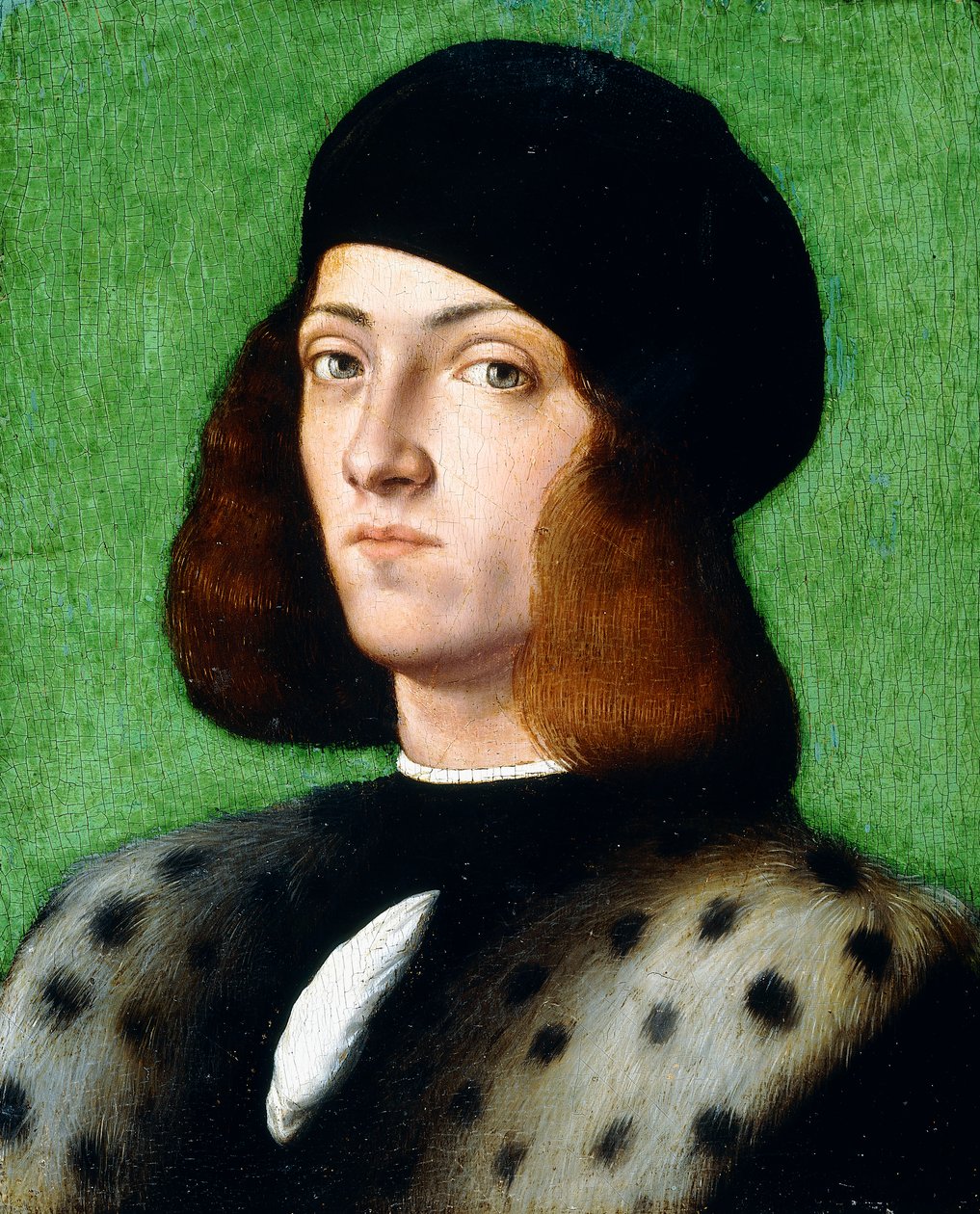 Portrett av en ung herre, bystelengde, iført svart hette og svart frakk, 1506 av Andrea Previtali