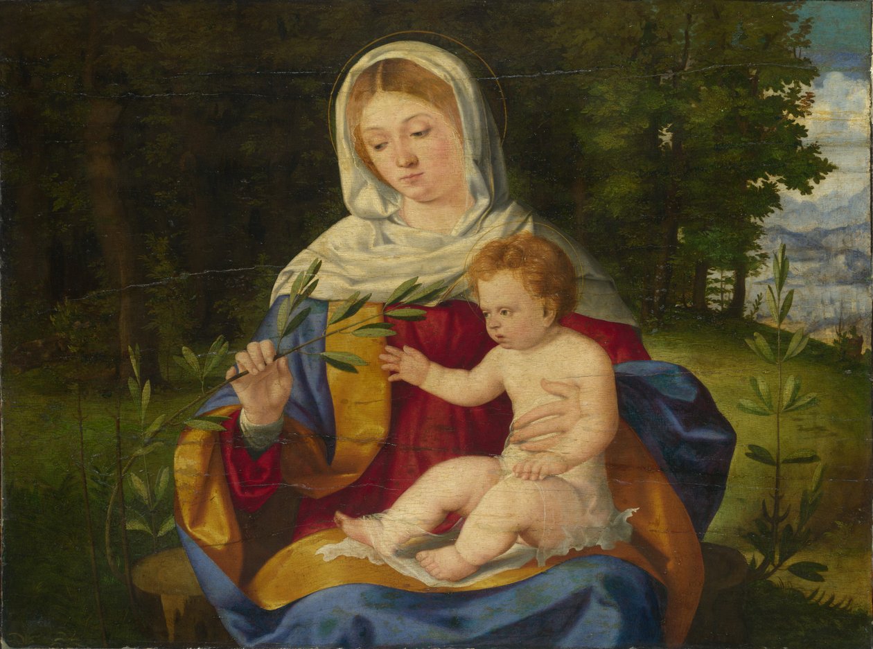 Jomfruen og barnet med et olivenskudd, ca 1515 av Andrea Previtali