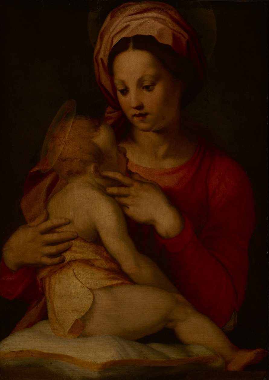 The Madonna and Child (olje på panel) av Andrea del (attr.to) Sarto