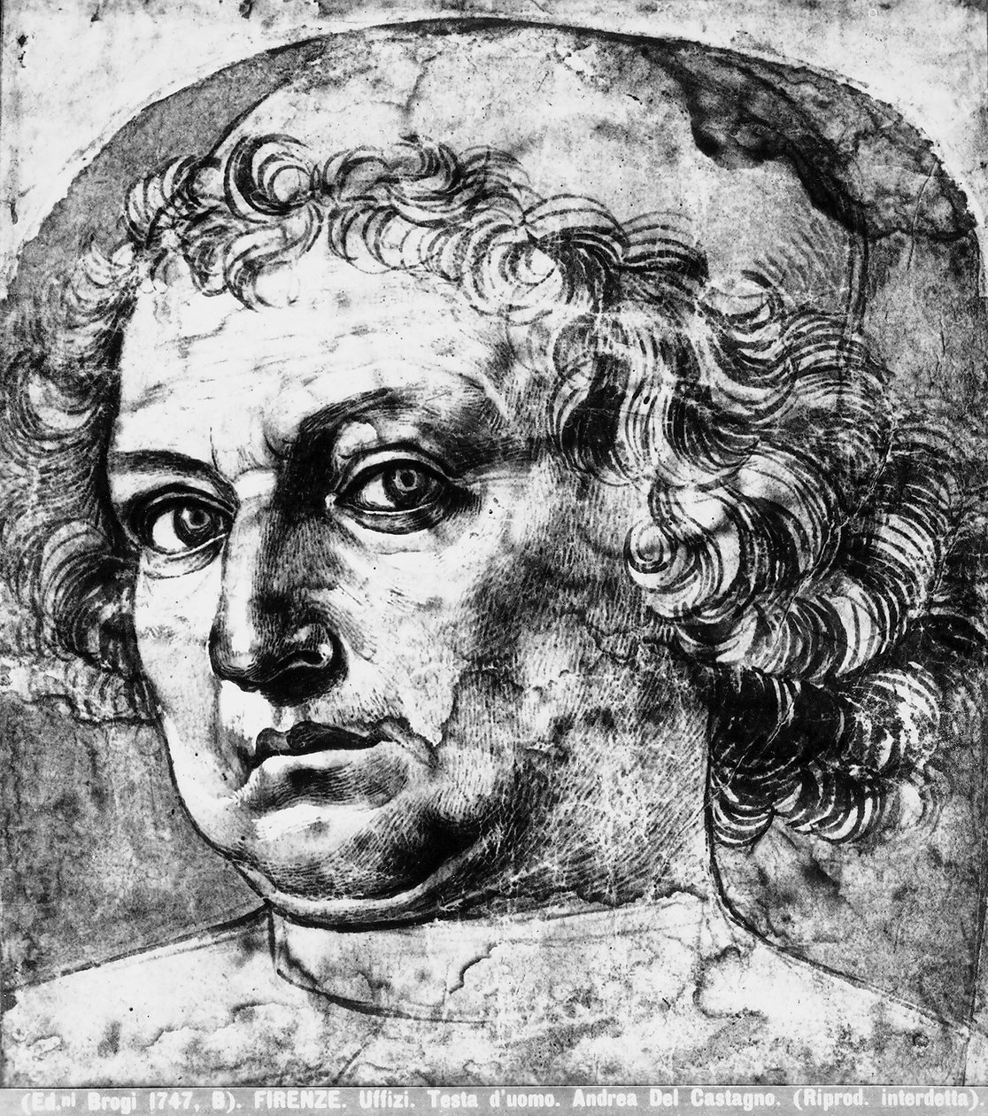 Manns hode, eller portrett av Andrea del Verrocchio, ca. 1450 av Andrea del Castagno