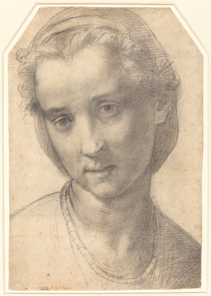 Hodet til en kvinne av Andrea del Sarto