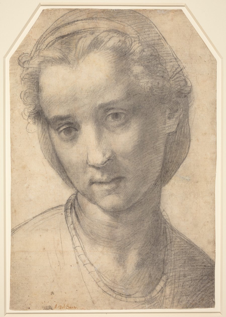 En kvinnes hode av Andrea del Sarto