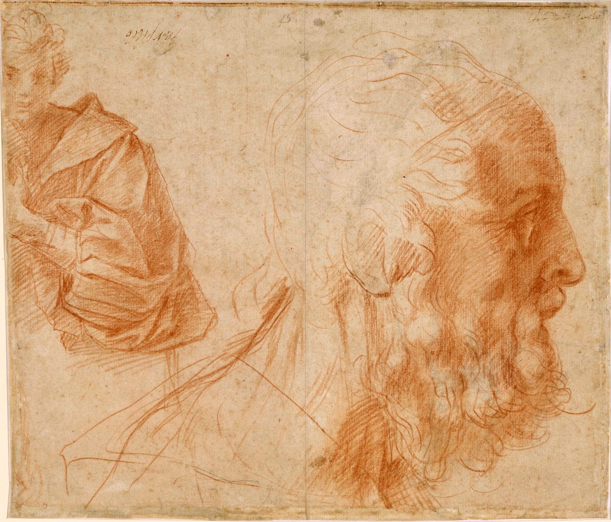 ""Ung mann og hodet til en gammel mann, sannsynligvis Homer"" (En ungdom og hodet til en gammel mann (Homer?)) Tegning av rød kritt av Andrea del Sarto (1486-1531) Dim 23,9x27,7 cm Study Sanguine på papir ca 1521 Staatliche Museen, Berlin av Andrea del Sarto