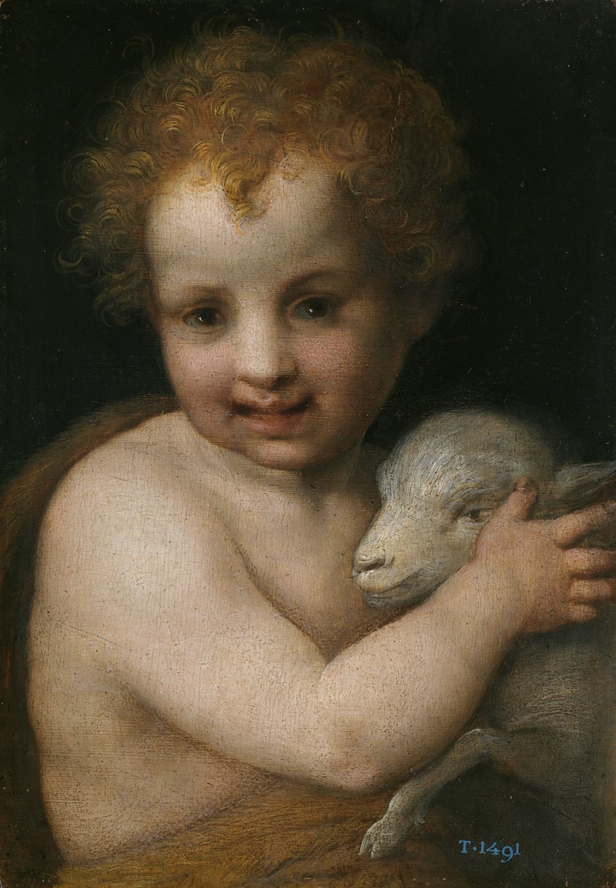 Døperen Johannes som barn av Andrea del Sarto