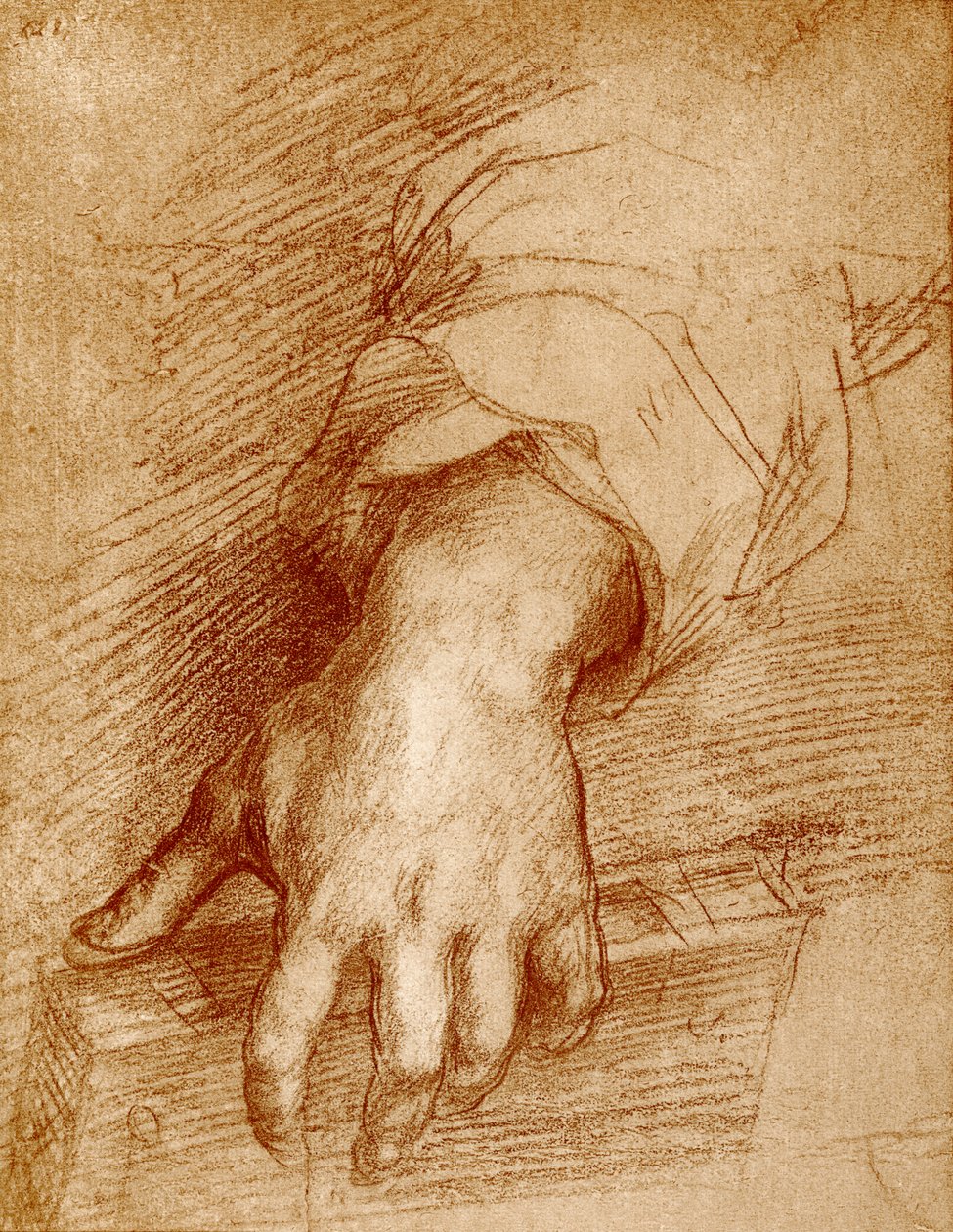 Madonna hånd med bok av Andrea del Sarto