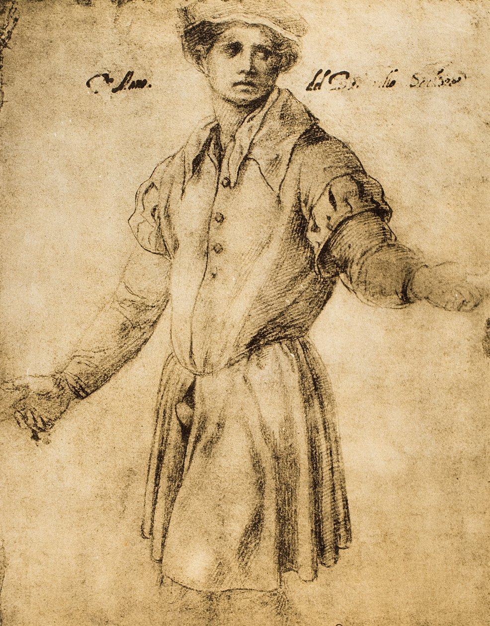 Portrett av en ung florentiner av Andrea del Sarto