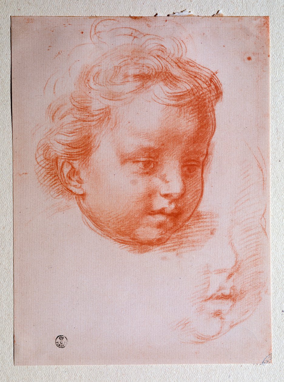 Puttos hode (Tegning av Andrea del Sarto