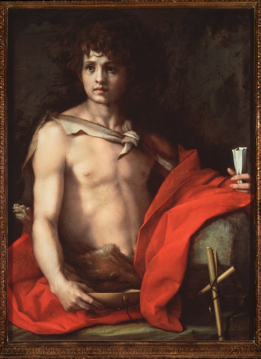 Døperen Johannes (maleri av Andrea del Sarto
