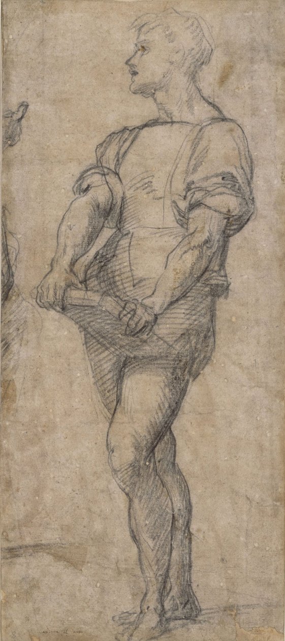 Stående ungdom som holder en bok, ca 1515 av Andrea del Sarto
