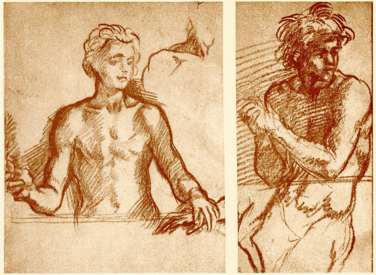 Studier av Kristi skikkelse av Andrea del Sarto