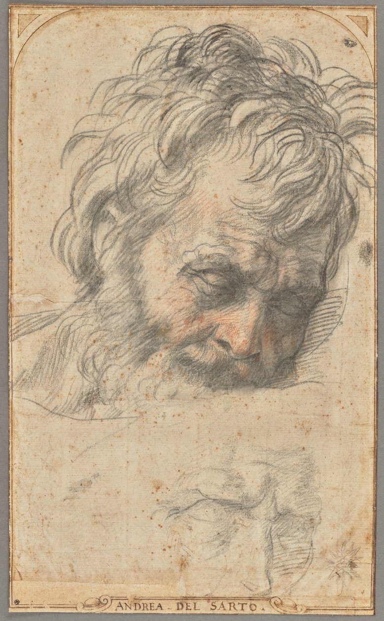  av Andrea del Sarto