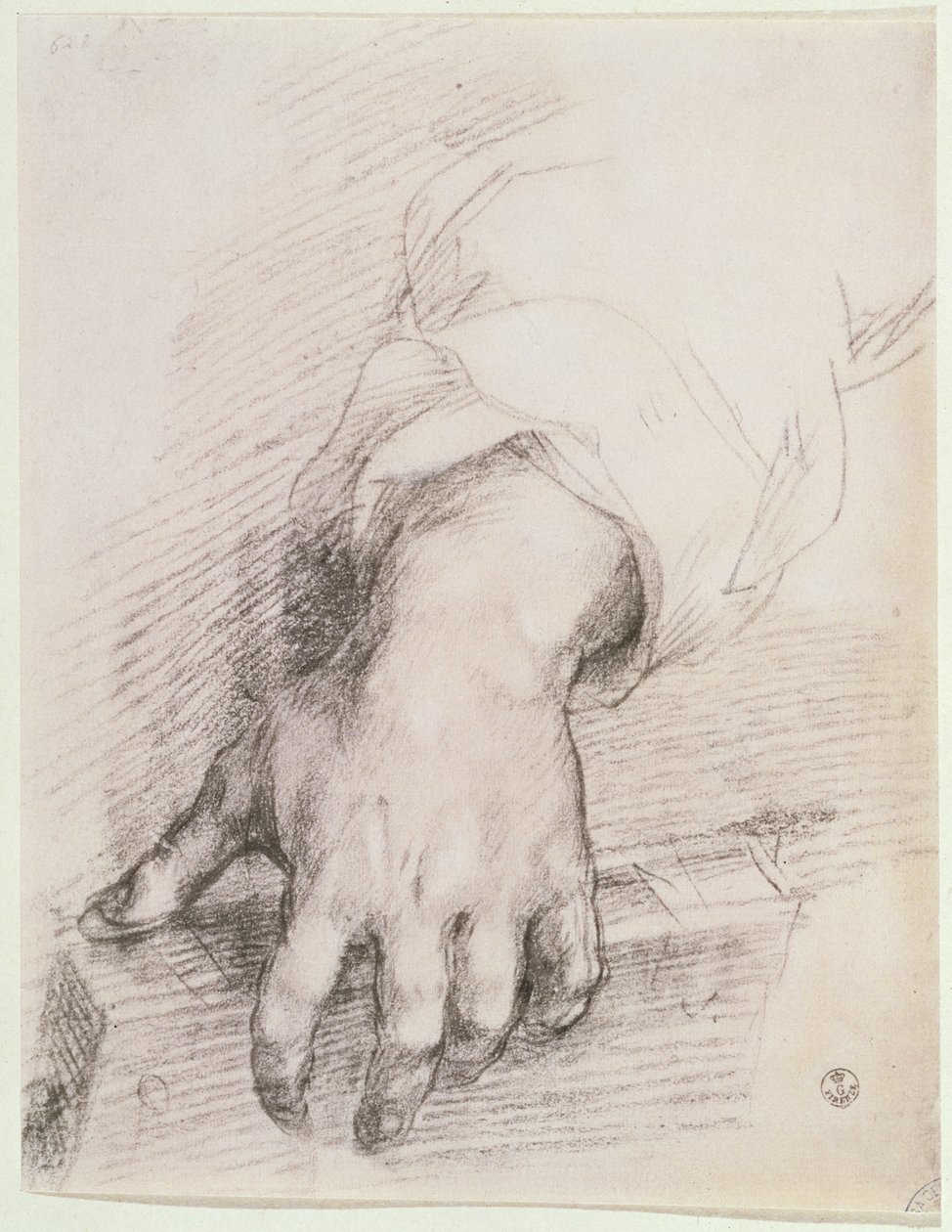 Studie av en hånd for Madonna of the Harp (kritt på papir) av Andrea del Sarto