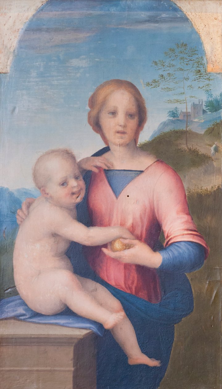 Jomfru og barn (olje på tre) av Andrea del Sarto