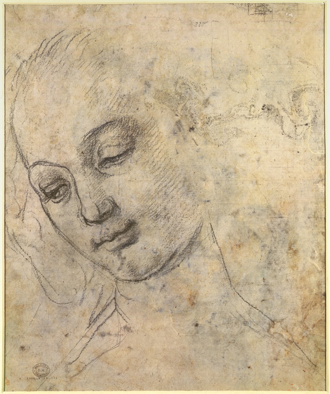 Portrett av et kvinnelig hode (svart kritt på papir) av Andrea del Verrocchio