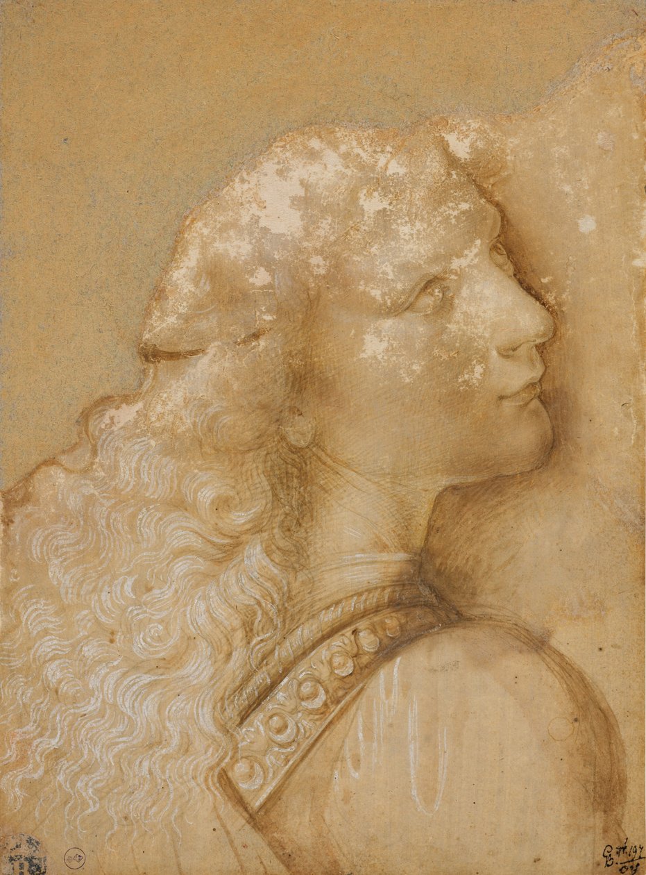 Byste av en ung mann, studer for engelen til "Kristi dåp" til Verrocchio, ca. 1475 (metallspiss, oker akvarell og hvitt blekk på forberedt papir lys oker) av Andrea del Verrocchio