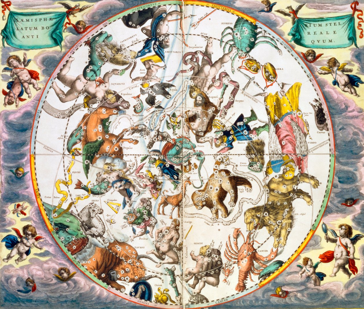 Himmelsk planisfære som viser tegnene til dyrekretsen, 1660-1661 av Andreas Cellarius