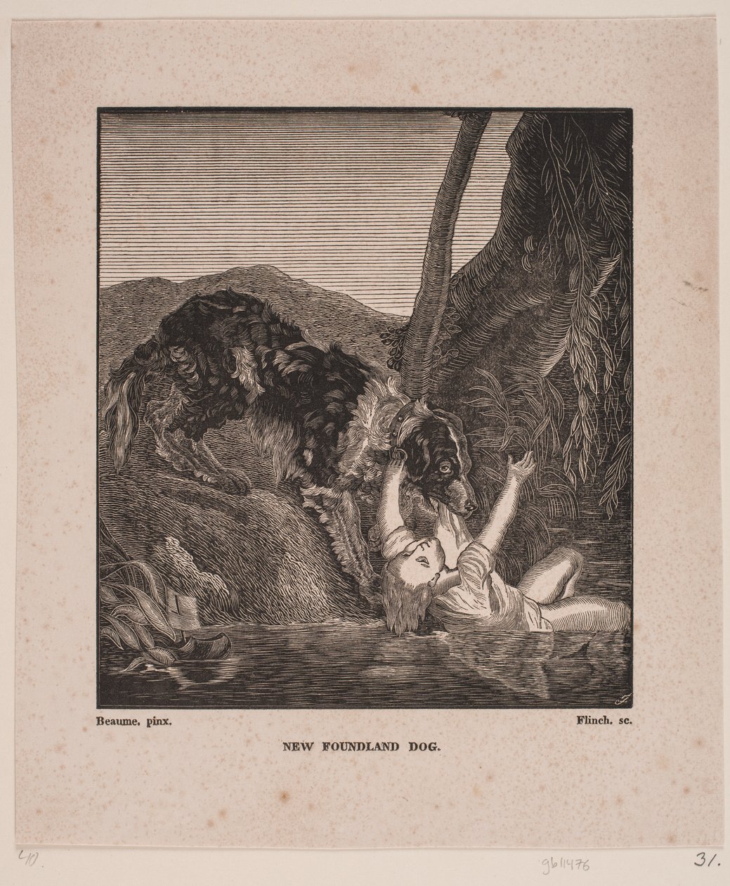 Newfoundland hund av Andreas Flinch