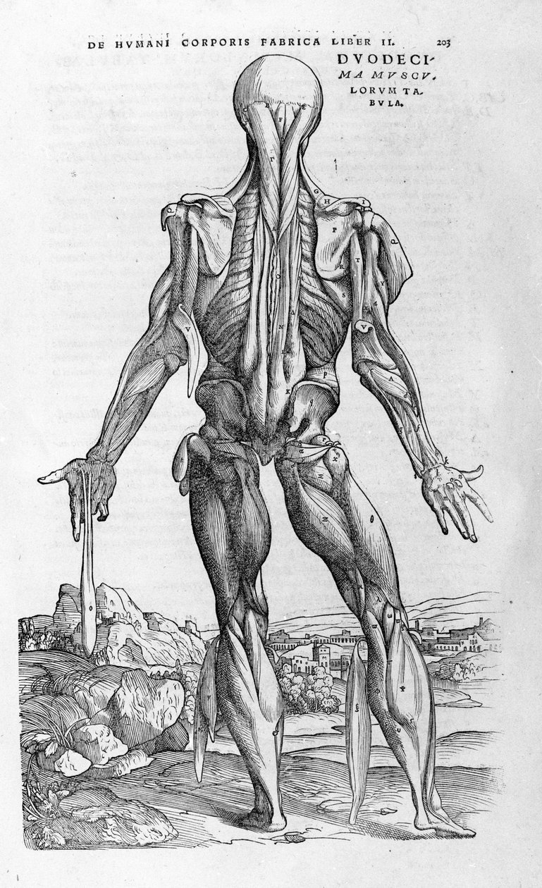 Andrea Vesalio (1514 - 1564), lege til Charles V av Andreas Vesalius